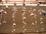 DSC04702.JPG